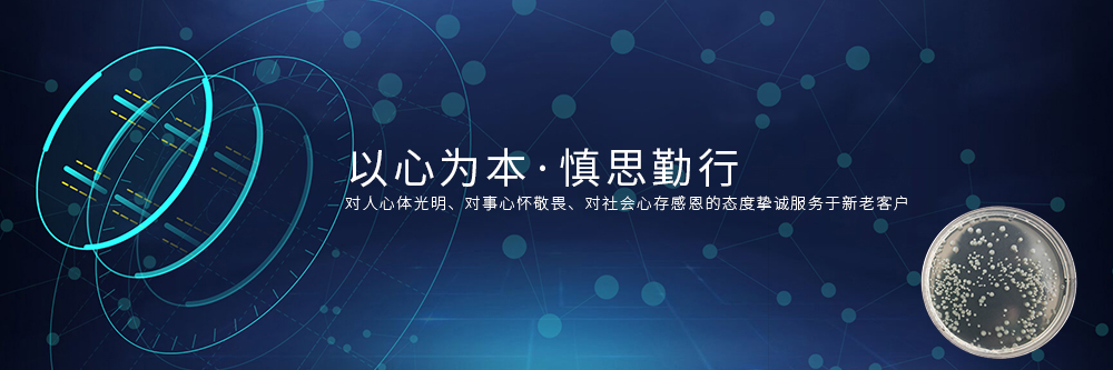 山東德福涂料有限公司
